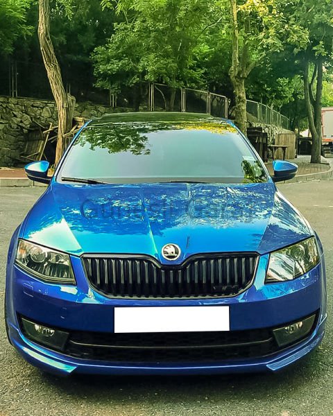 Skoda Octavia Ön Ek (Plastik)